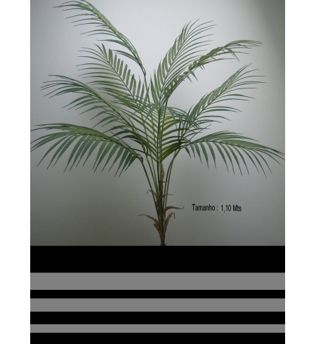 Planta Palmeira